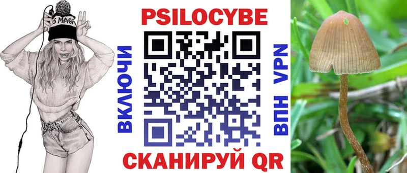 МЕГА рабочий сайт  цены наркотик  Чекалин  Галлюциногенные грибы GOLDEN TEACHER 